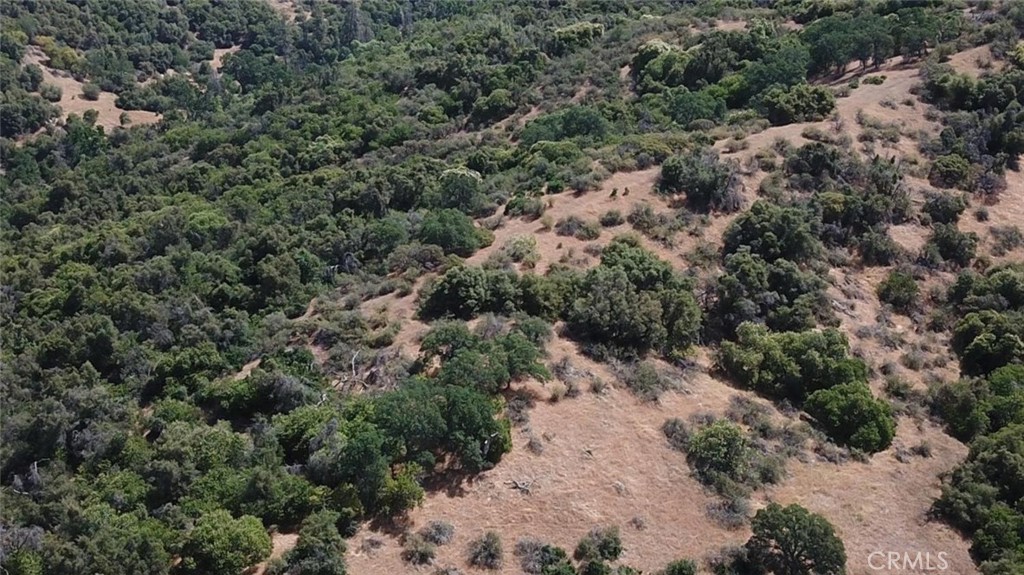 an aerial view of forest