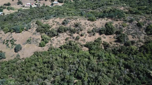 an aerial view of house with yard and trees all around