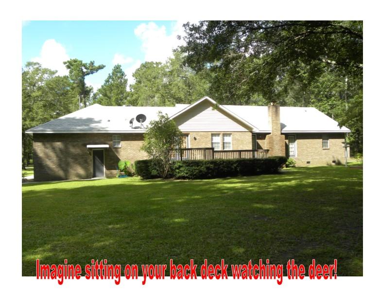514 State Rd S-15-260 Walterboro, SC 29488 - Photo 3 of 22 back yard