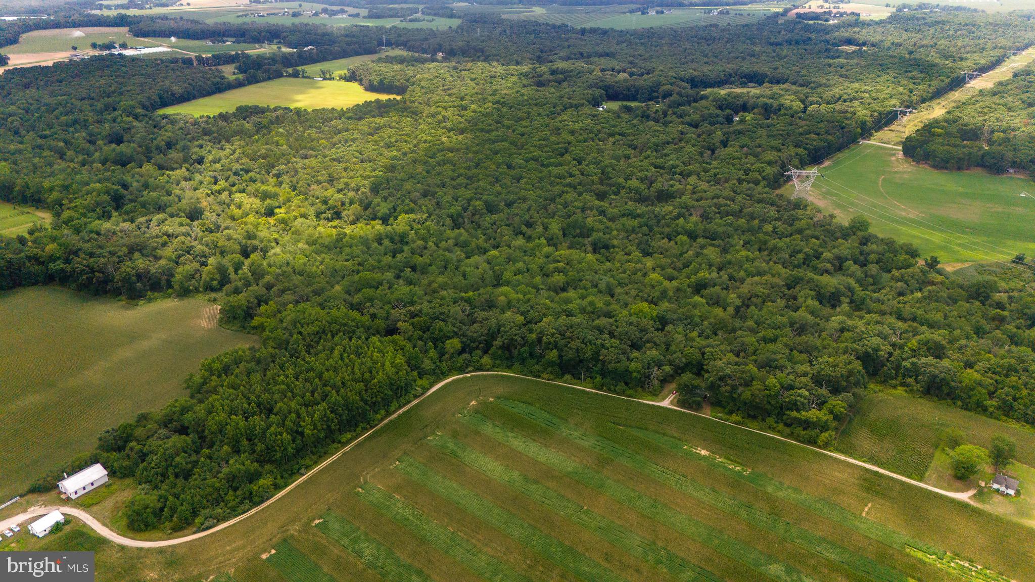 0 Lower Mill Road Pittsgrove, NJ 08318 - Photo 11 of 26 Gallery Image 11
