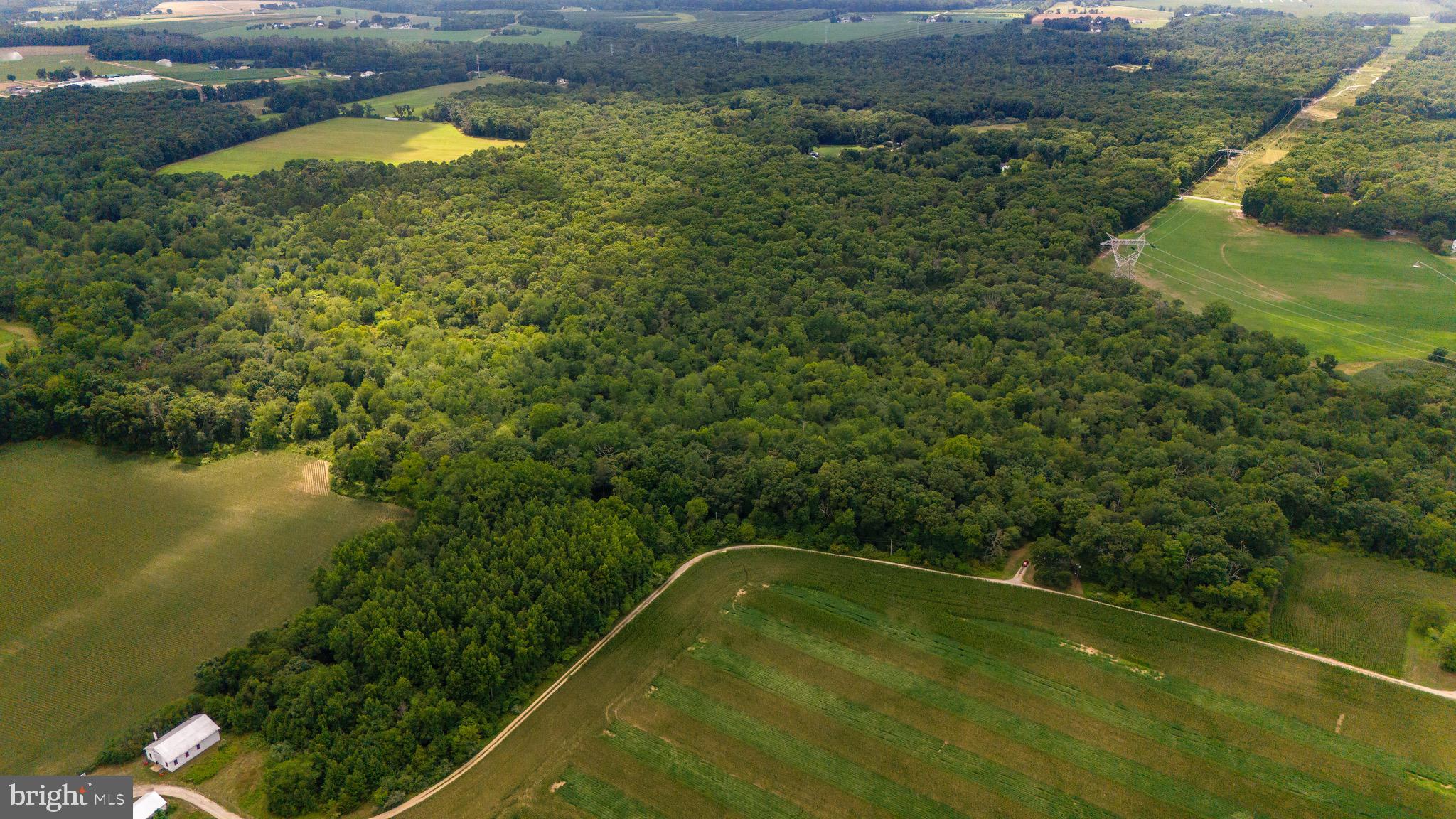 0 Lower Mill Road Pittsgrove, NJ 08318 - Photo 12 of 26 Gallery Image 12
