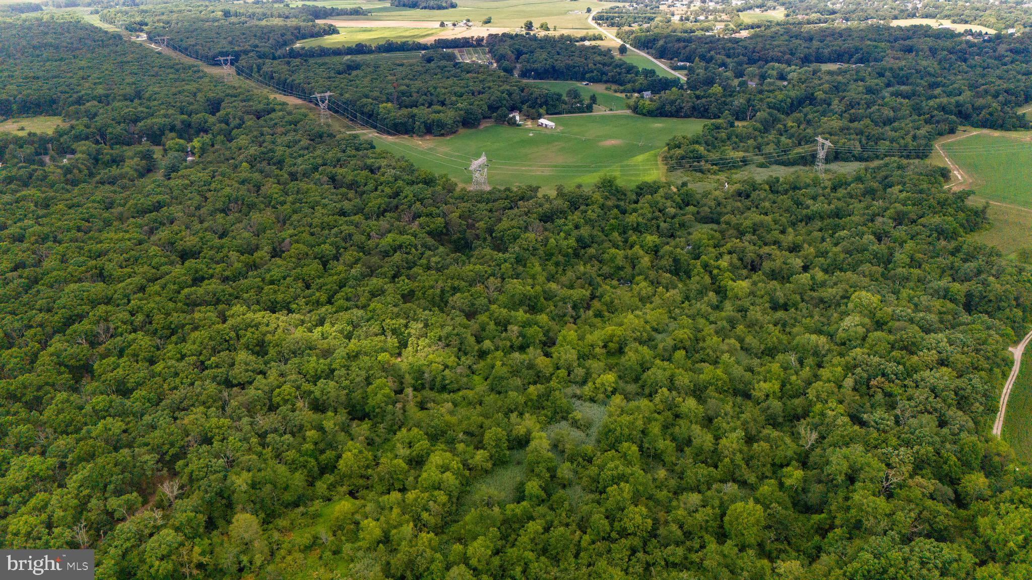 0 Lower Mill Road Pittsgrove, NJ 08318 - Photo 13 of 26 Gallery Image 13