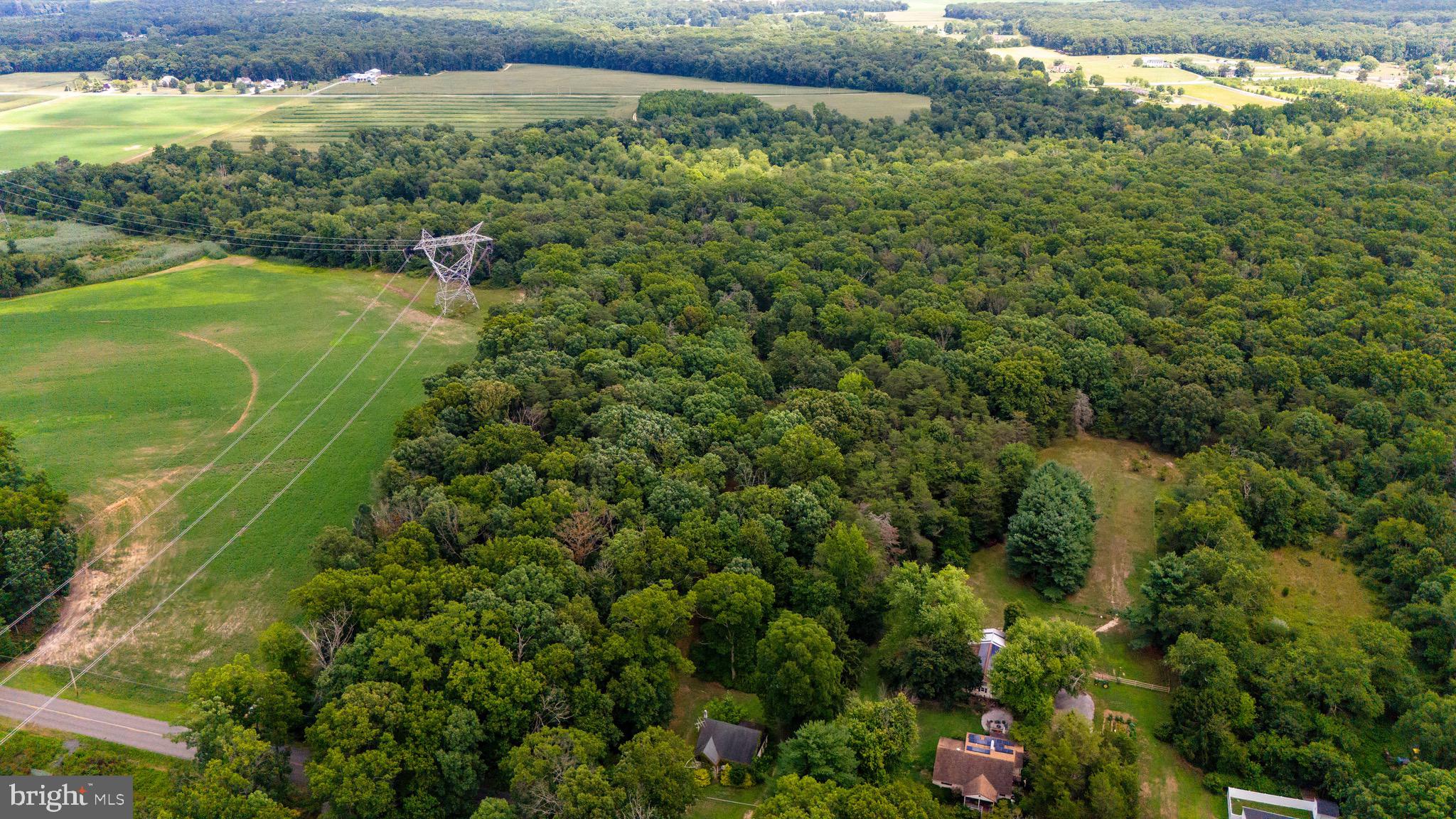 0 Lower Mill Road Pittsgrove, NJ 08318 - Photo 14 of 26 Gallery Image 14