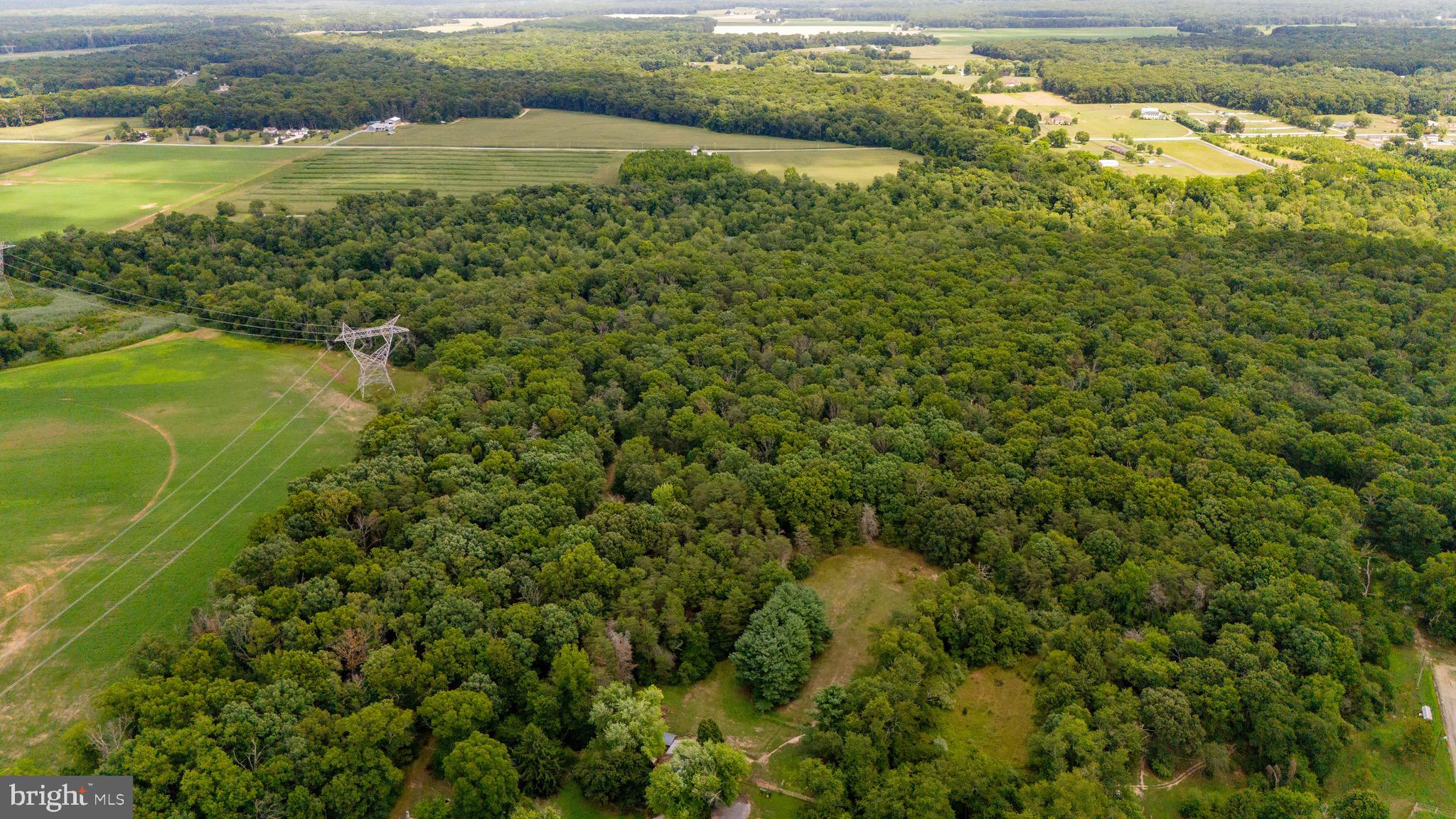 0 Lower Mill Road Pittsgrove, NJ 08318 - Photo 15 of 26 Gallery Image 15