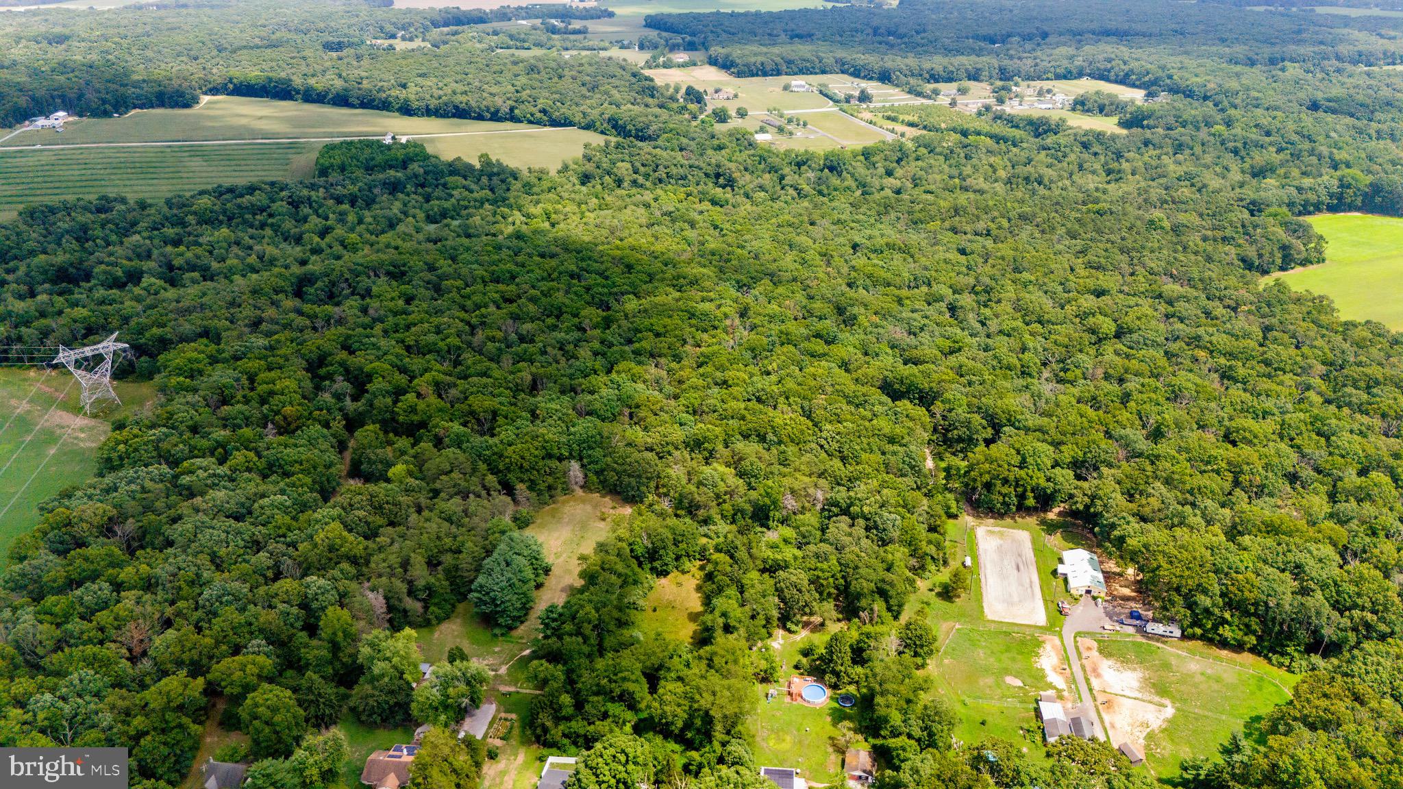 0 Lower Mill Road Pittsgrove, NJ 08318 - Photo 18 of 26 Gallery Image 18