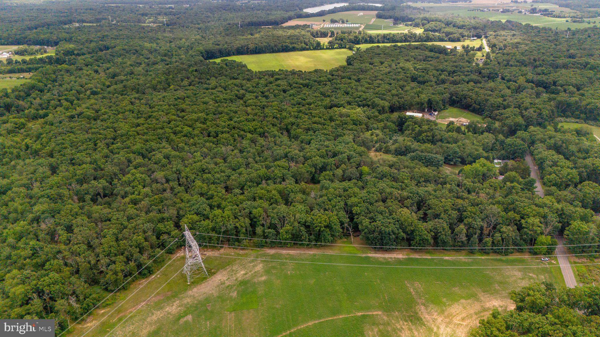 0 Lower Mill Road Pittsgrove, NJ 08318 - Photo 21 of 26 Gallery Image 21