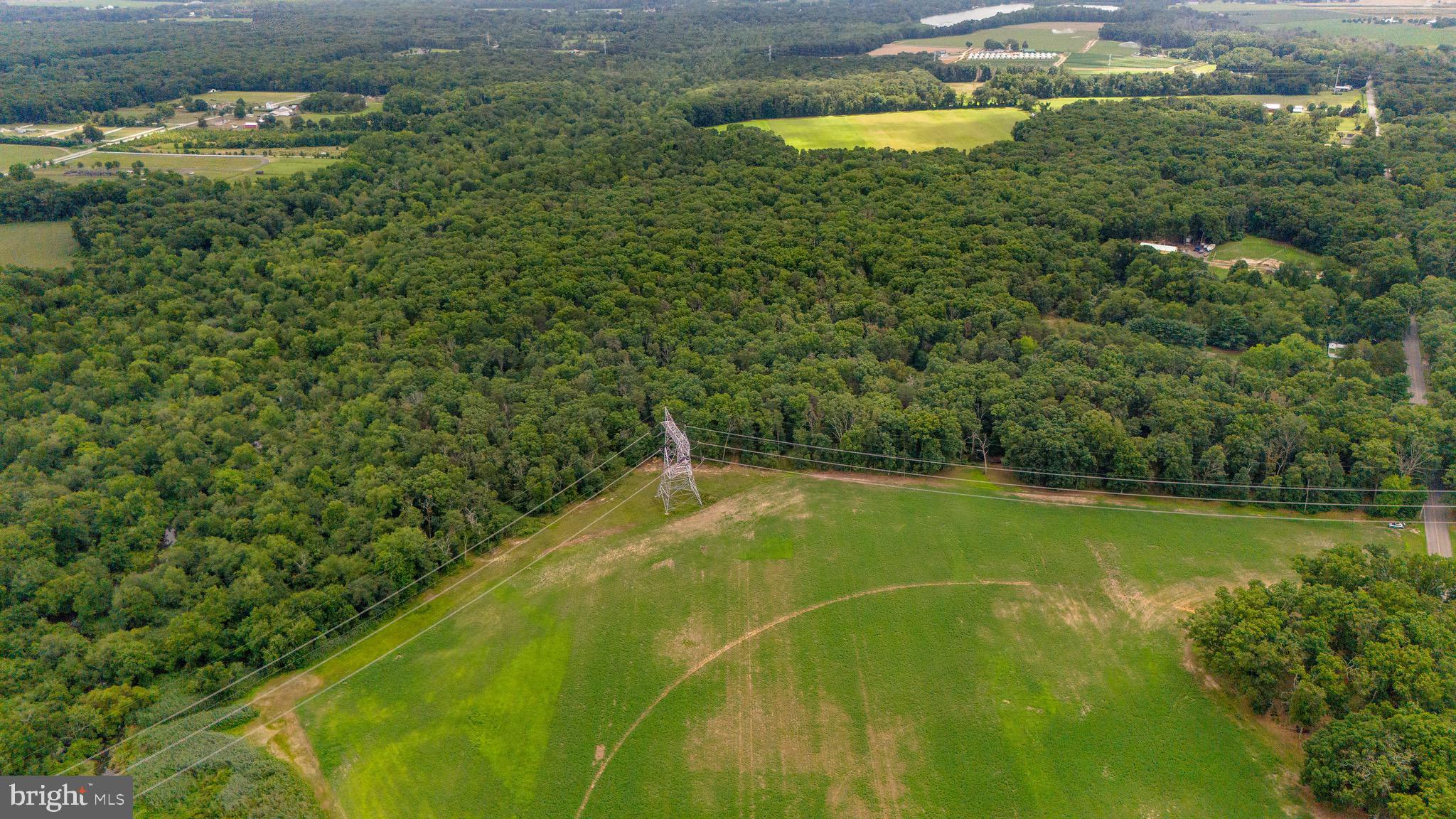 0 Lower Mill Road Pittsgrove, NJ 08318 - Photo 22 of 26 Gallery Image 22