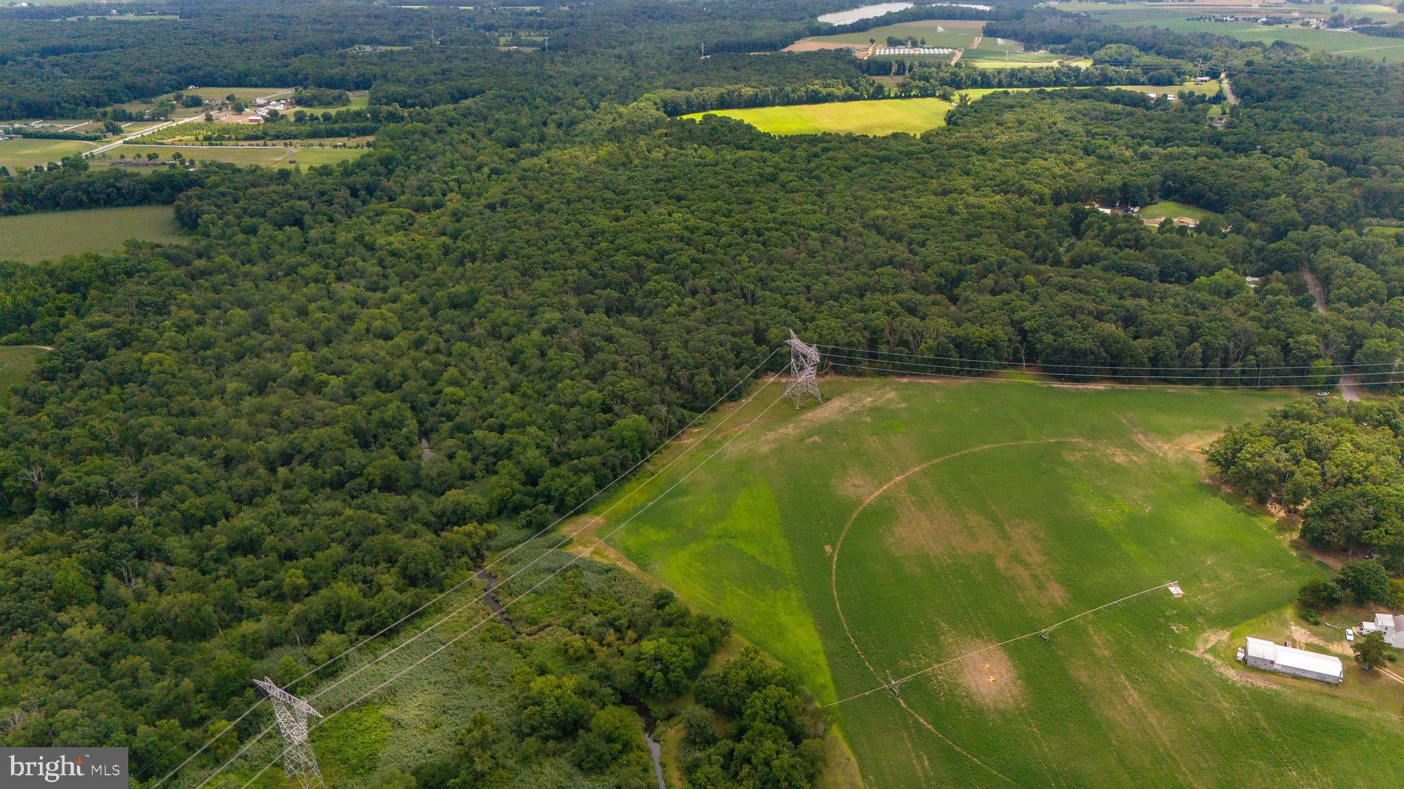 0 Lower Mill Road Pittsgrove, NJ 08318 - Photo 23 of 26 Gallery Image 23