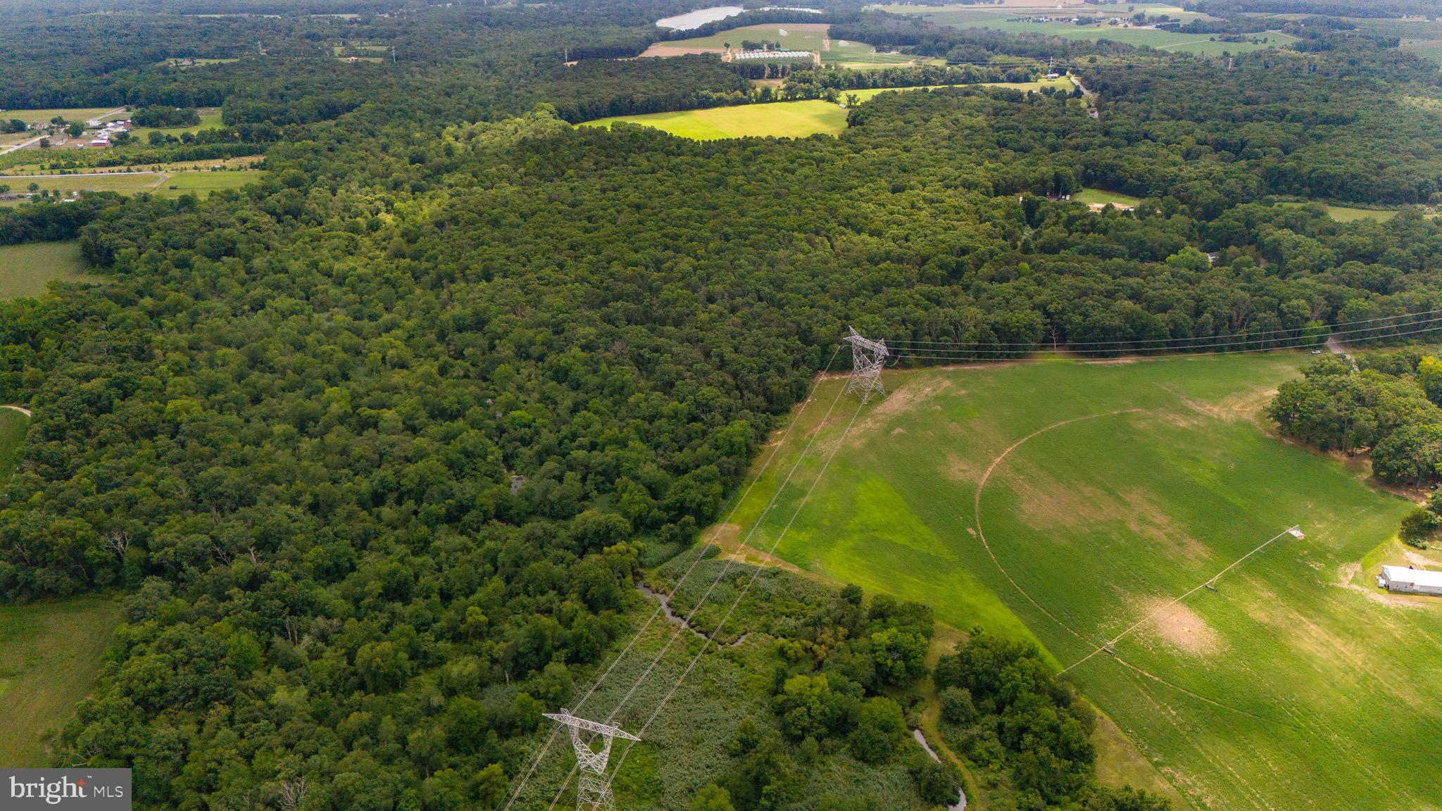 0 Lower Mill Road Pittsgrove, NJ 08318 - Photo 24 of 26 Gallery Image 24