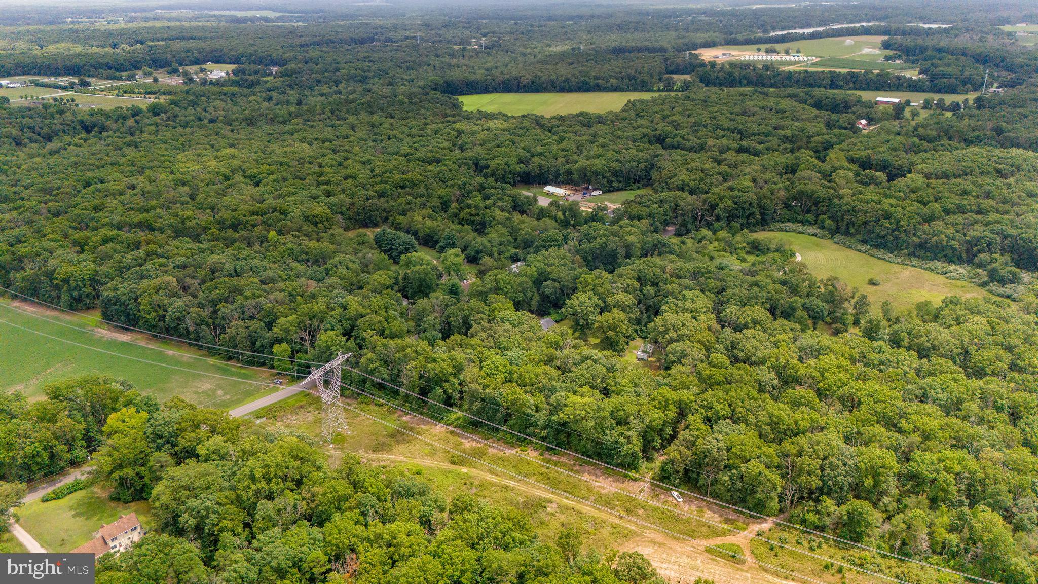 0 Lower Mill Road Pittsgrove, NJ 08318 - Photo 3 of 26 Gallery Image 3