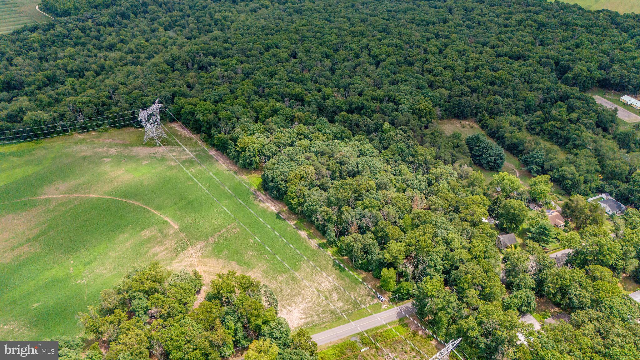 0 Lower Mill Road Pittsgrove, NJ 08318 - Photo 4 of 26 Gallery Image 4