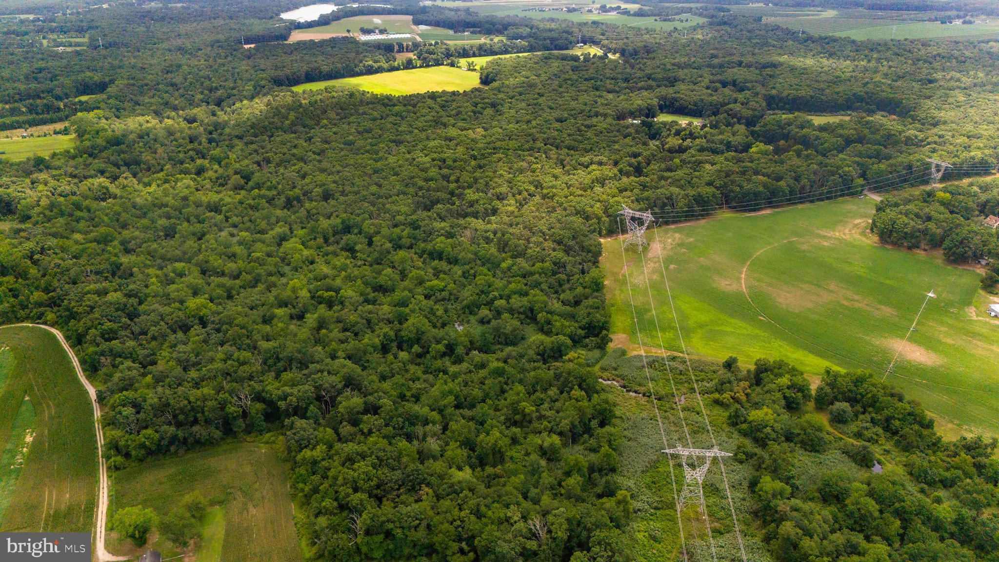 0 Lower Mill Road Pittsgrove, NJ 08318 - Photo 7 of 26 Gallery Image 7