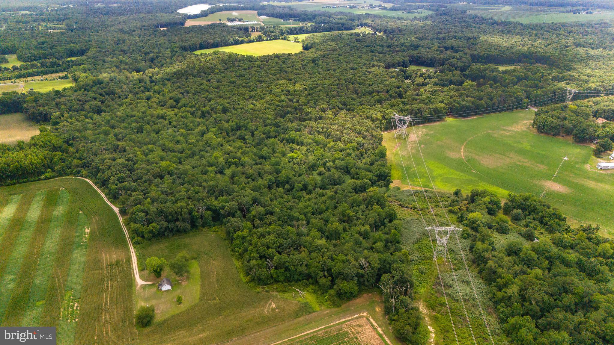 0 Lower Mill Road Pittsgrove, NJ 08318 - Photo 8 of 26 Gallery Image 8