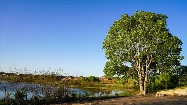 $2,099 | 5705 Brocade Drive, Austin, TX 78724