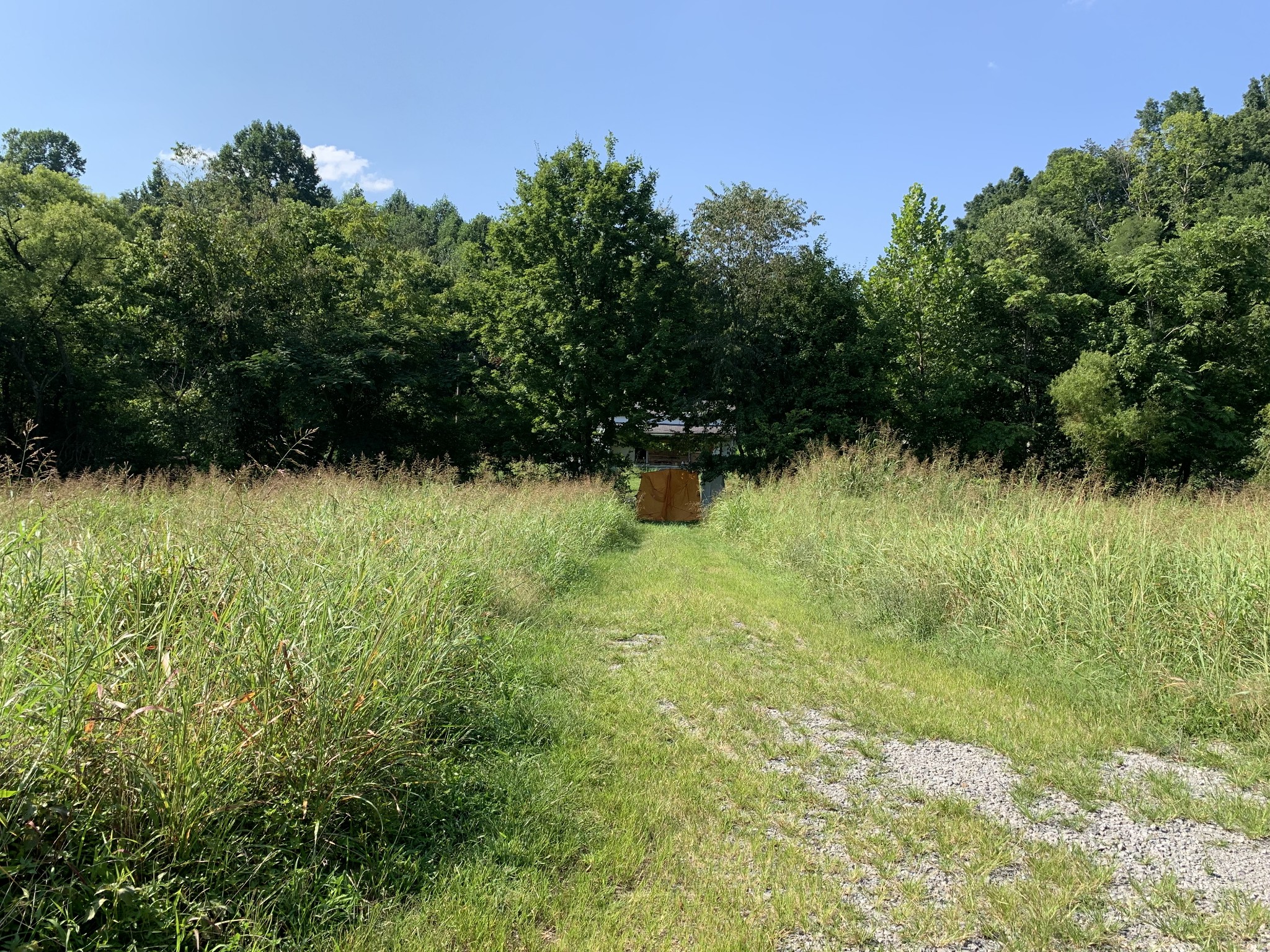 2124 Simmons Ridge Road Cornersville, TN 37047 - Photo 2 of 32 Gallery Image 2
