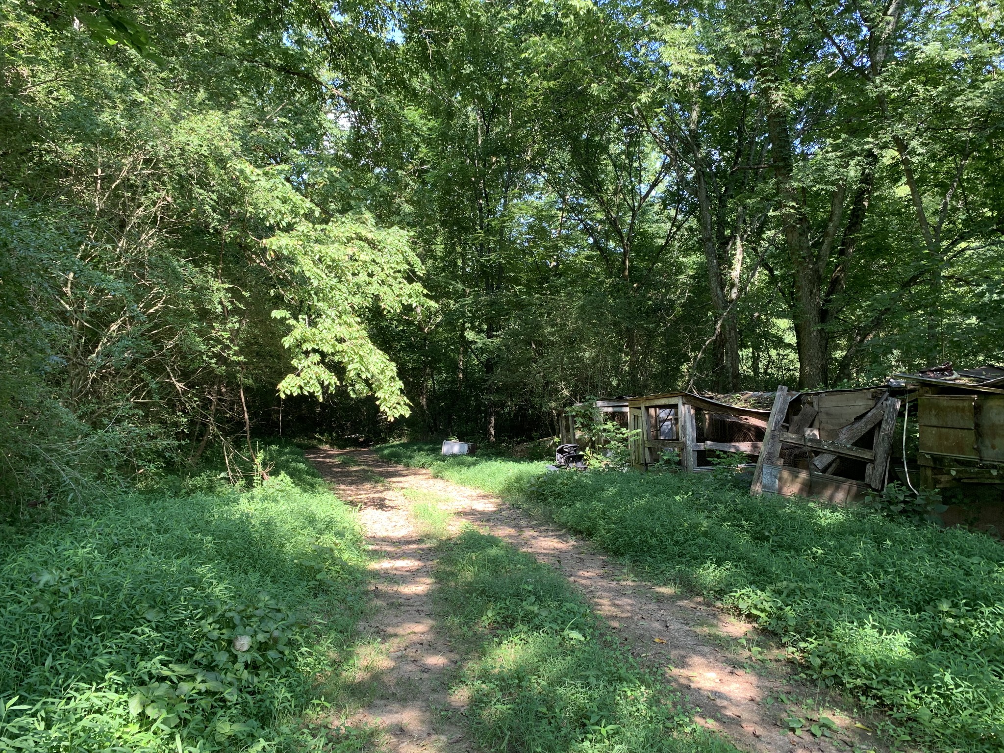 2124 Simmons Ridge Road Cornersville, TN 37047 - Photo 16 of 32 Gallery Image 16