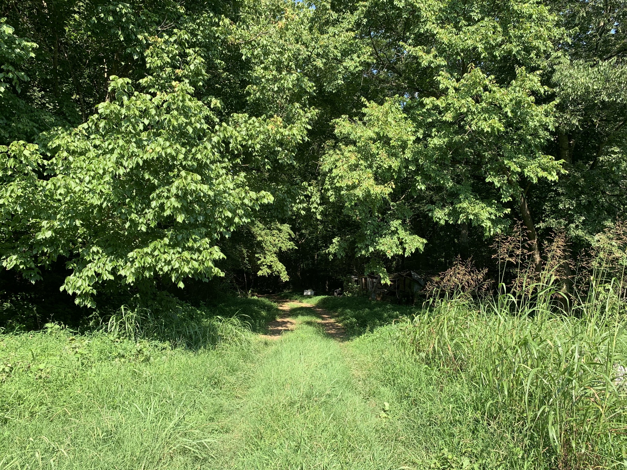 2124 Simmons Ridge Road Cornersville, TN 37047 - Photo 17 of 32 Gallery Image 17