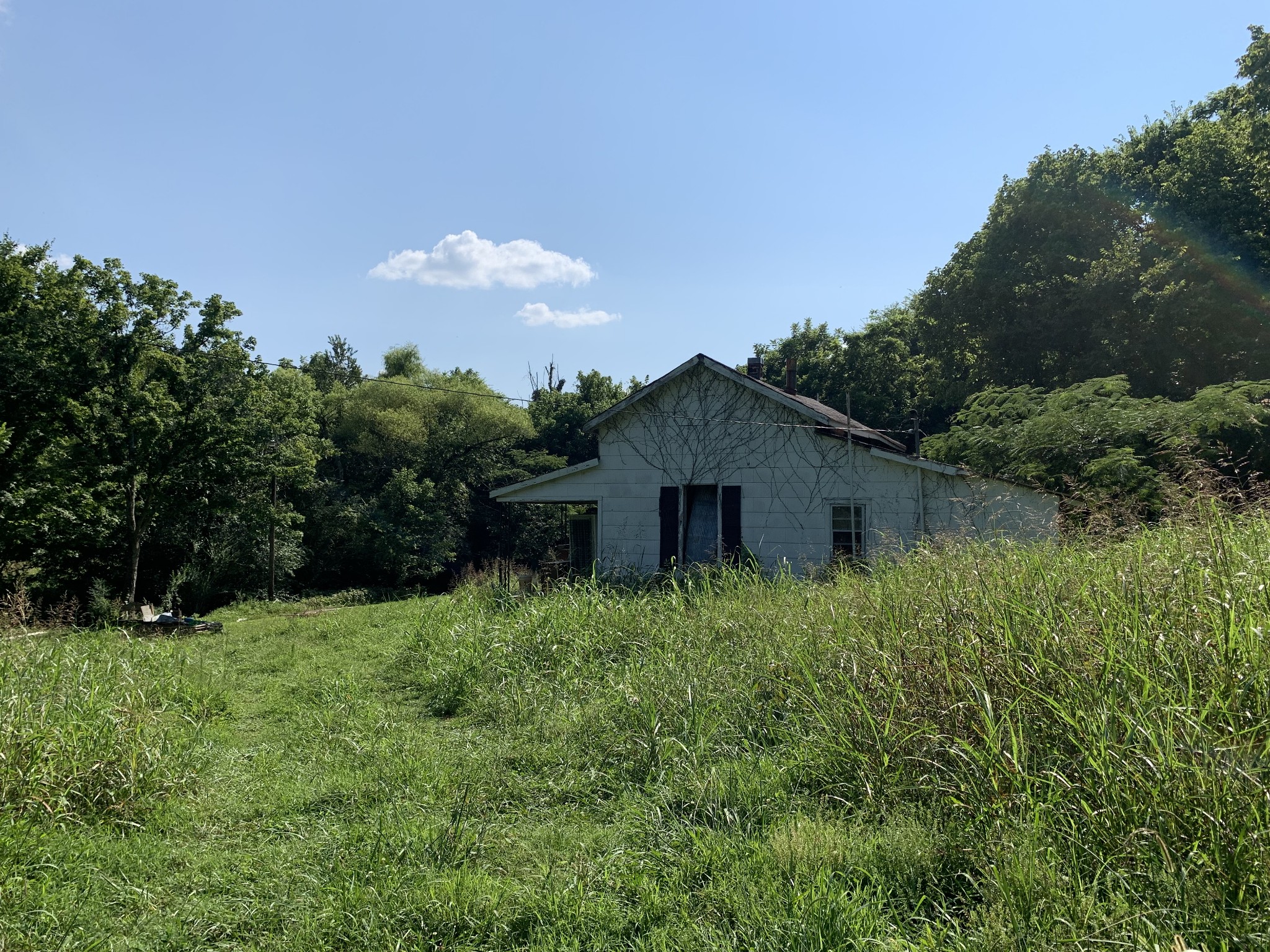 2124 Simmons Ridge Road Cornersville, TN 37047 - Photo 18 of 32 Gallery Image 18