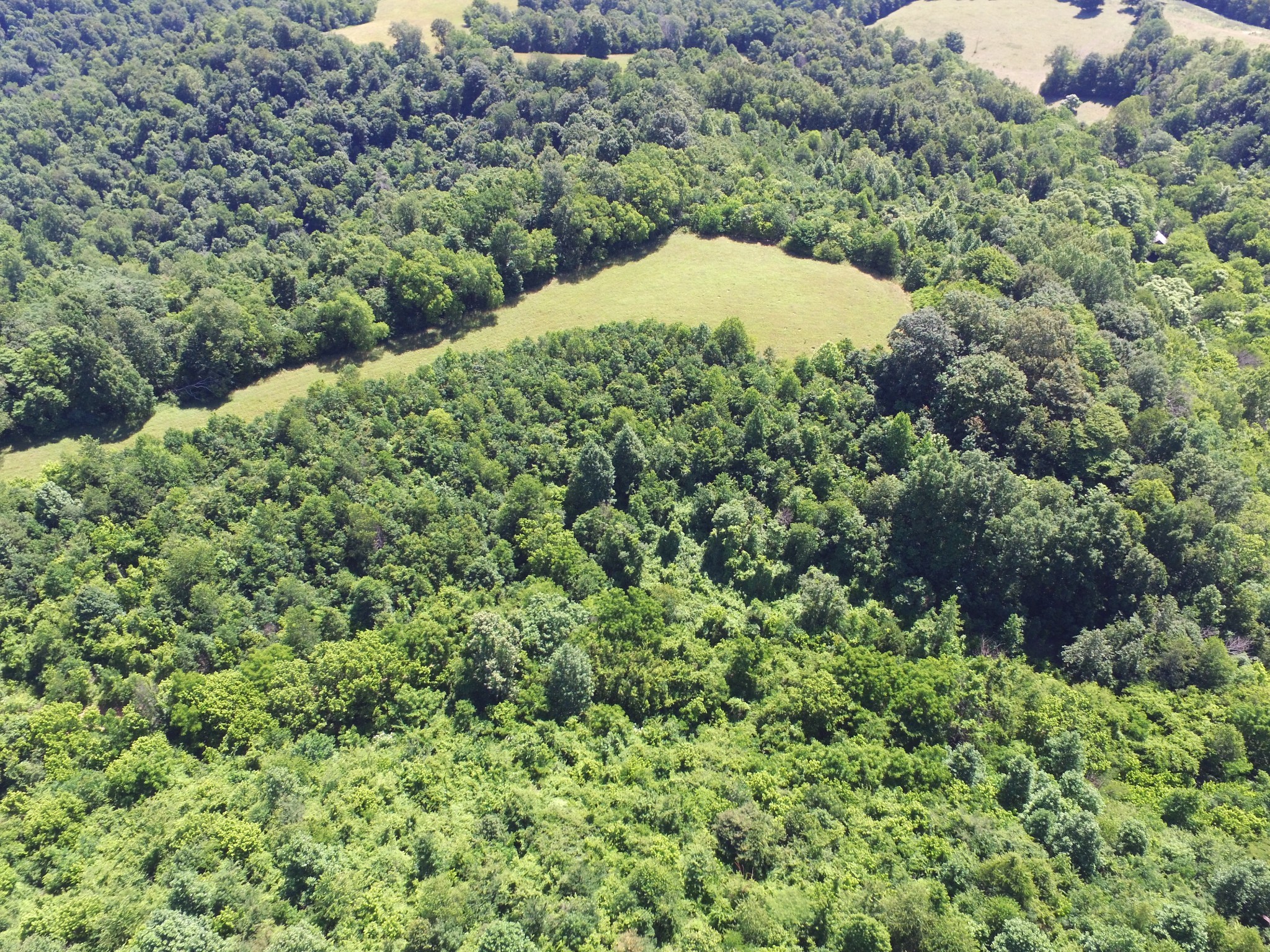 2124 Simmons Ridge Road Cornersville, TN 37047 - Photo 27 of 32 Gallery Image 27