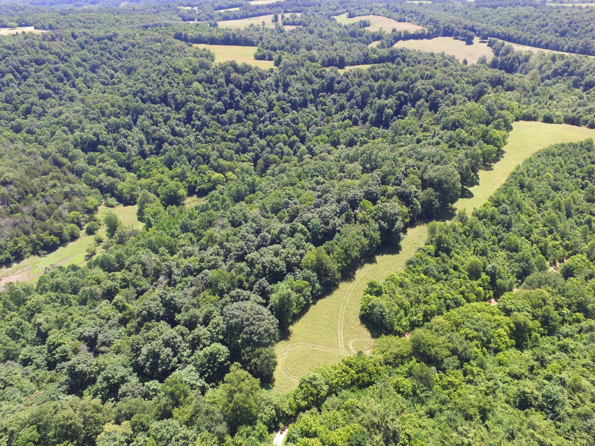 2124 Simmons Ridge Road Cornersville, TN 37047 - Photo 28 of 32 Gallery Image 28