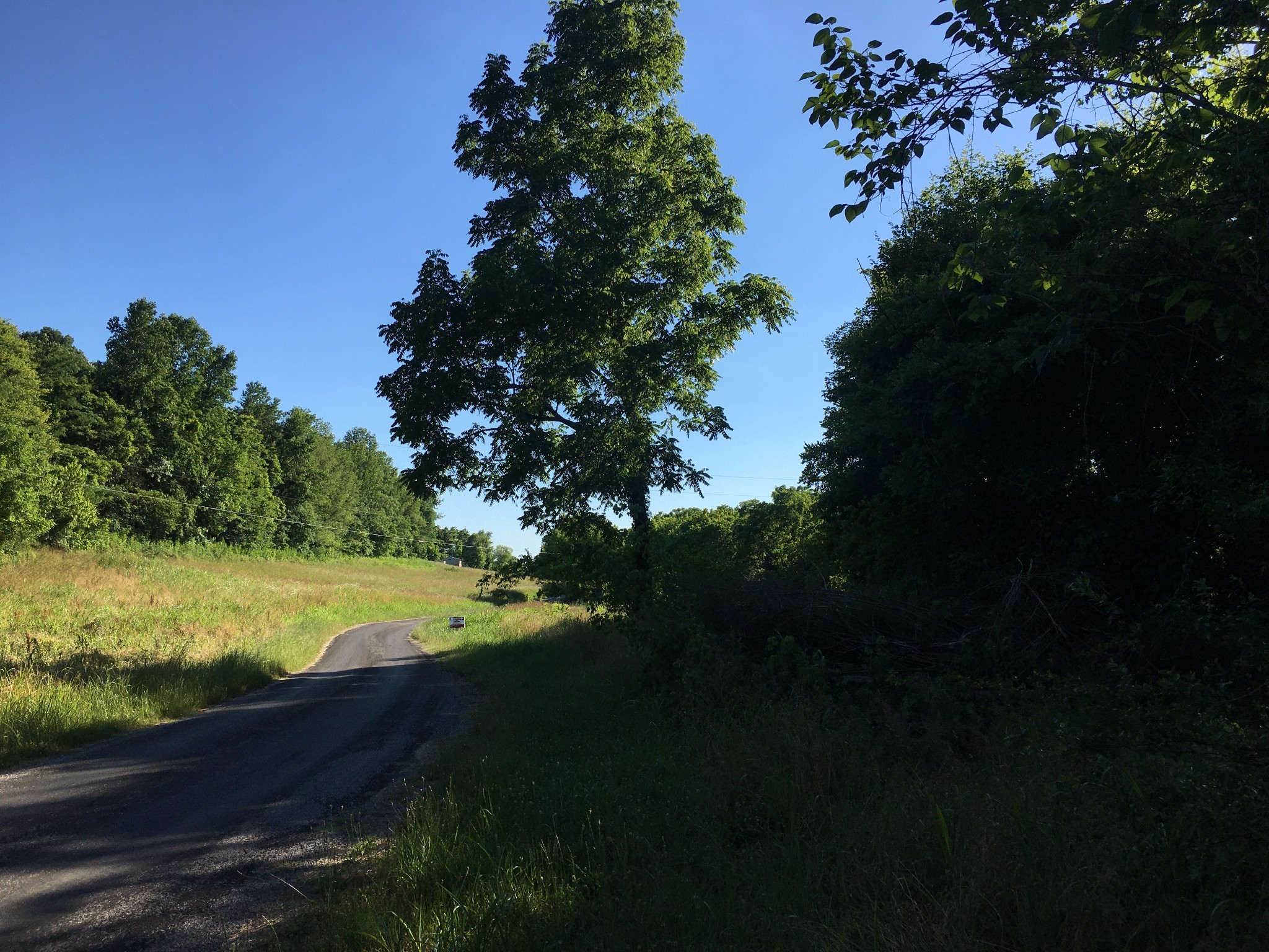 2124 Simmons Ridge Road Cornersville, TN 37047 - Photo 29 of 32 Gallery Image 29
