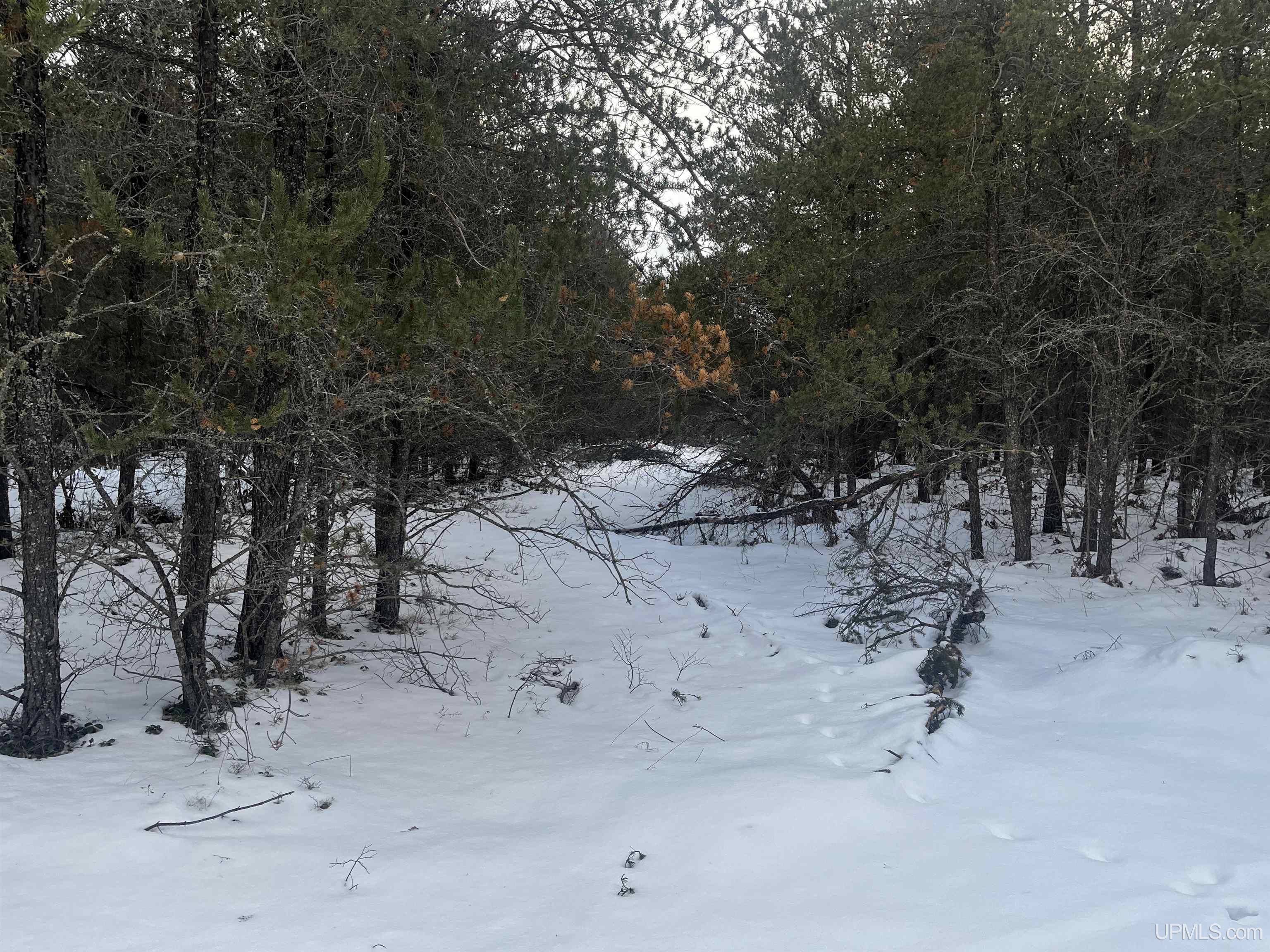 1 Rice Lake Road Gwinn, MI 49841 - Photo 10 of 25