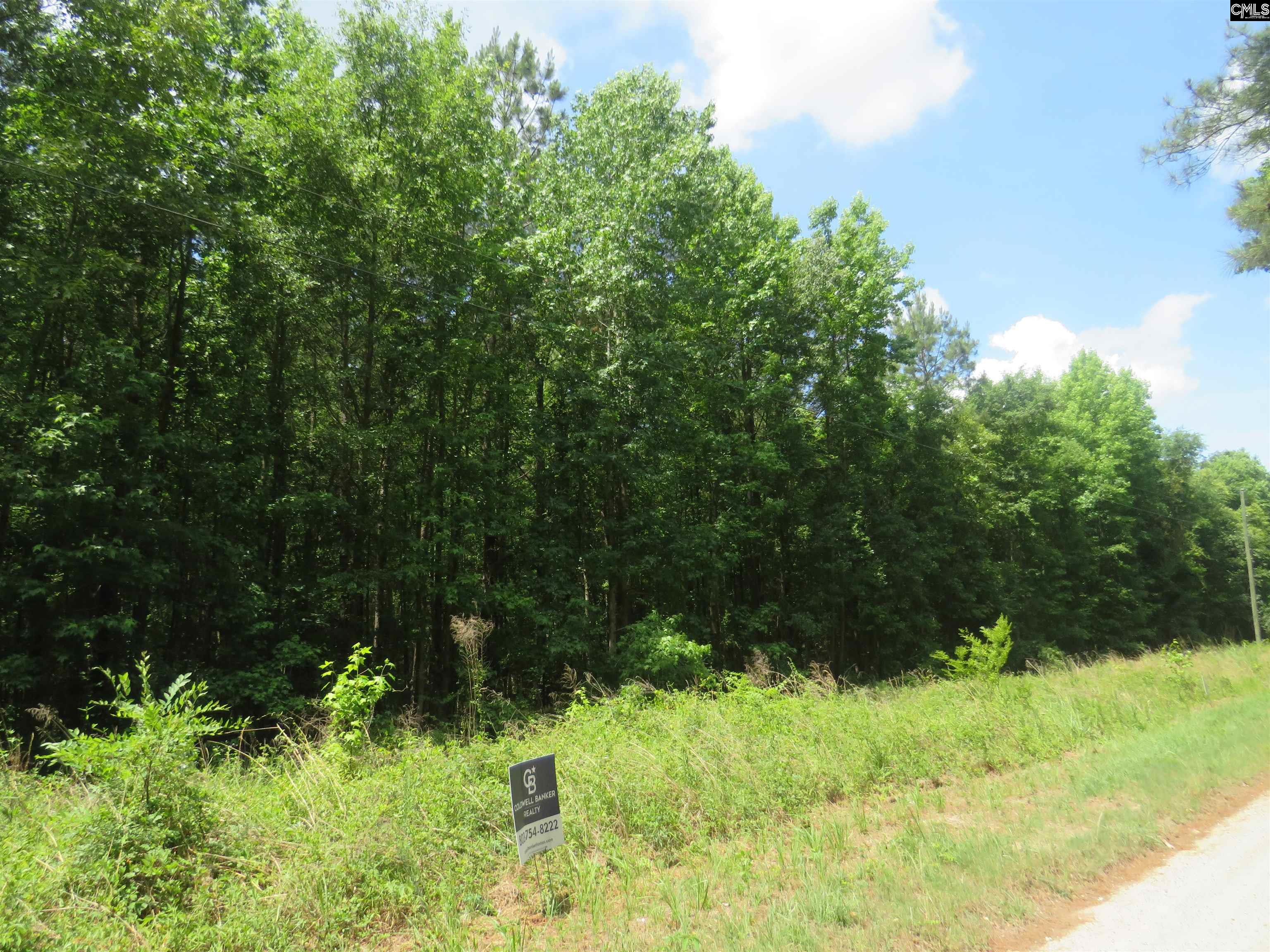 Old Eastover Road Eastover, SC 29044 - Photo 9 of 13