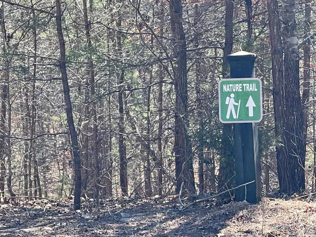 a front view of a house with a tree