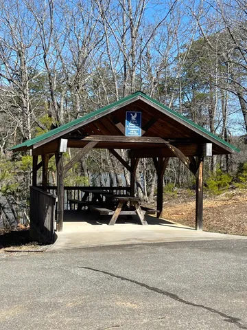 a view of tall trees