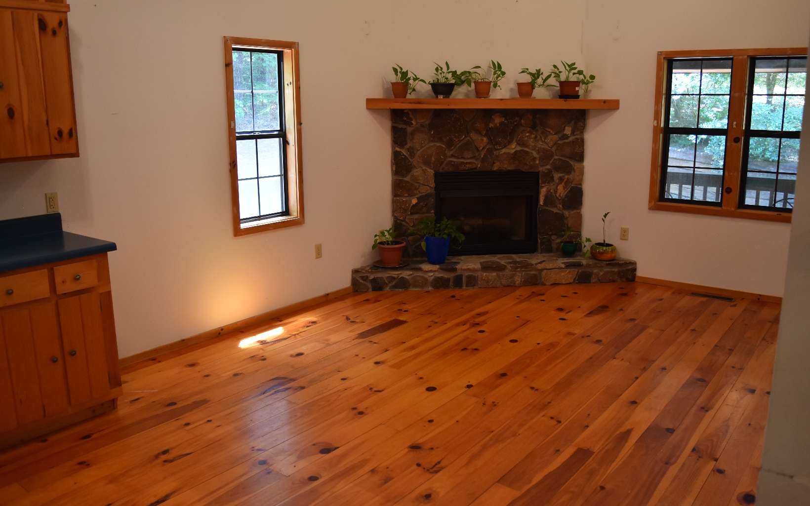 179 Wild Ridge Road Blairsville, GA 30512 - Photo 3 of 4 Additional View