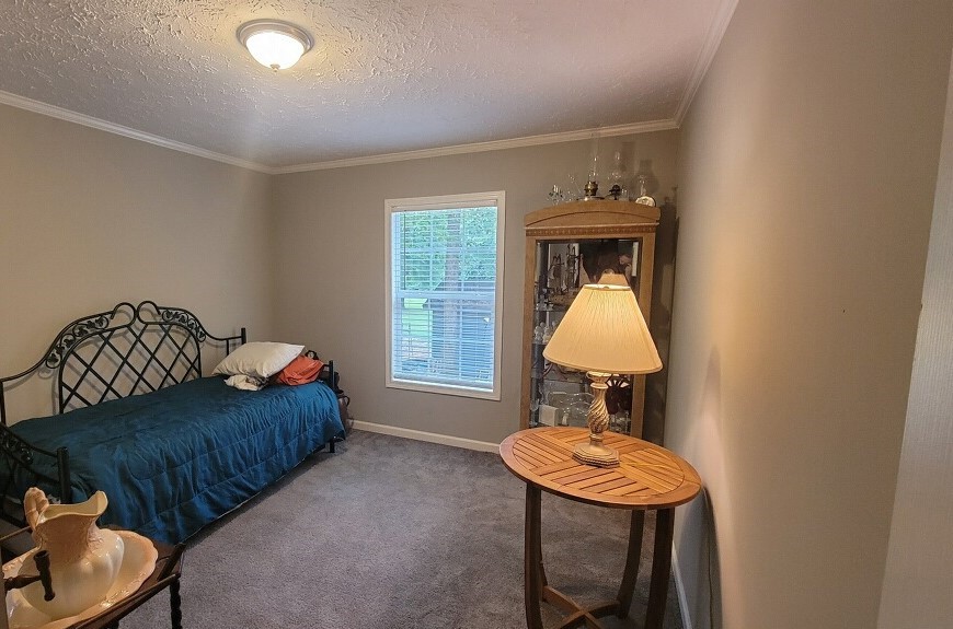 610 Little Mountain Road Anderson, SC 29626 - Photo 12 of 18