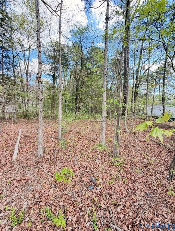 0 Cedar Grove Road Lawrenceville, VA 23868 - Photo 2 of 4