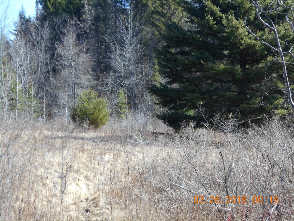 116 Jefferson Road Whitefield, NH 03598 - Photo 1 of 16