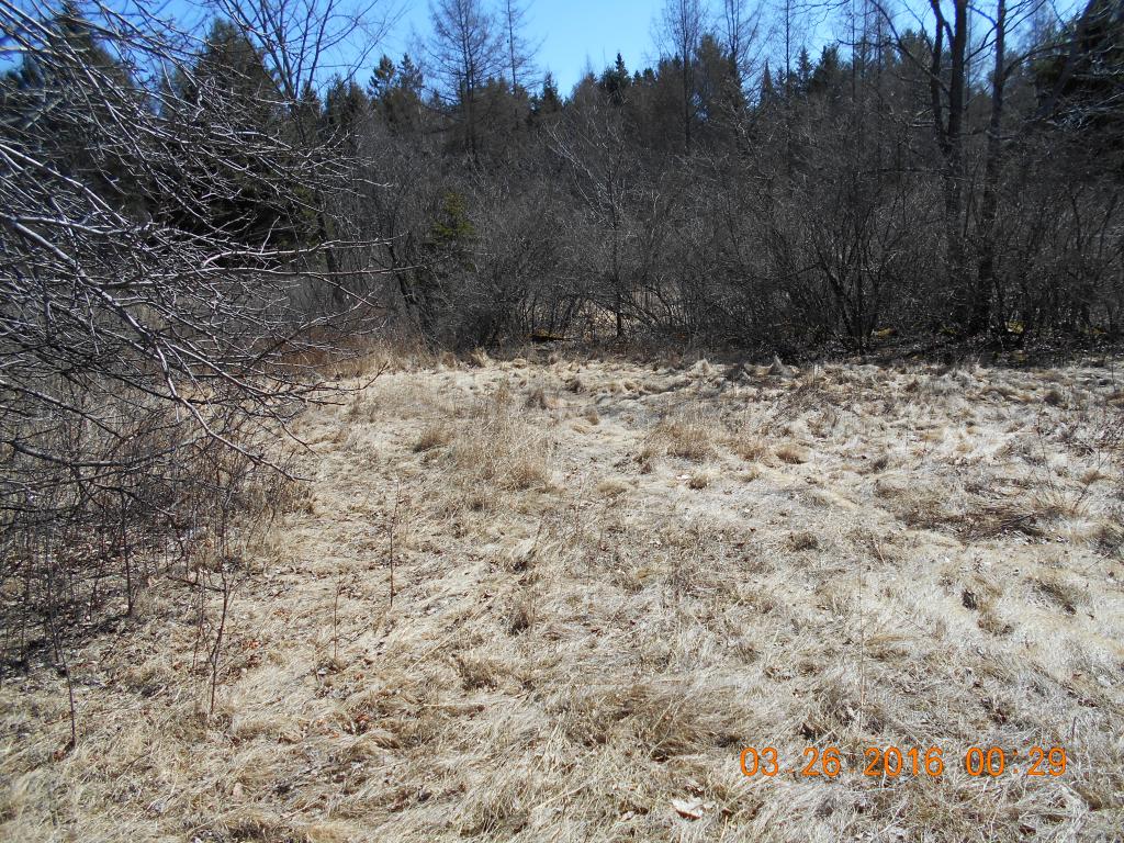 116 Jefferson Road Whitefield, NH 03598 - Photo 2 of 16