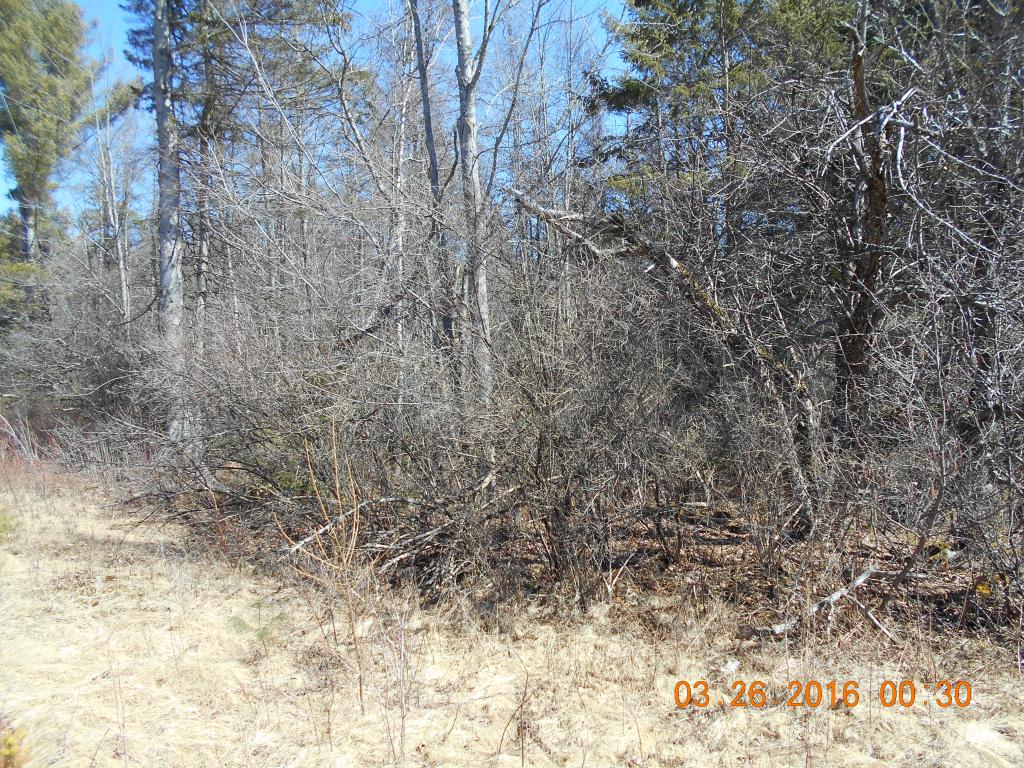 116 Jefferson Road Whitefield, NH 03598 - Photo 11 of 16