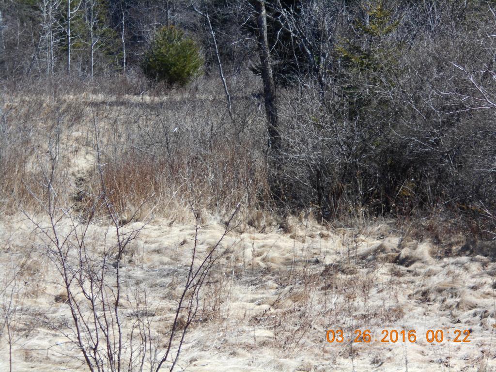 116 Jefferson Road Whitefield, NH 03598 - Photo 12 of 16