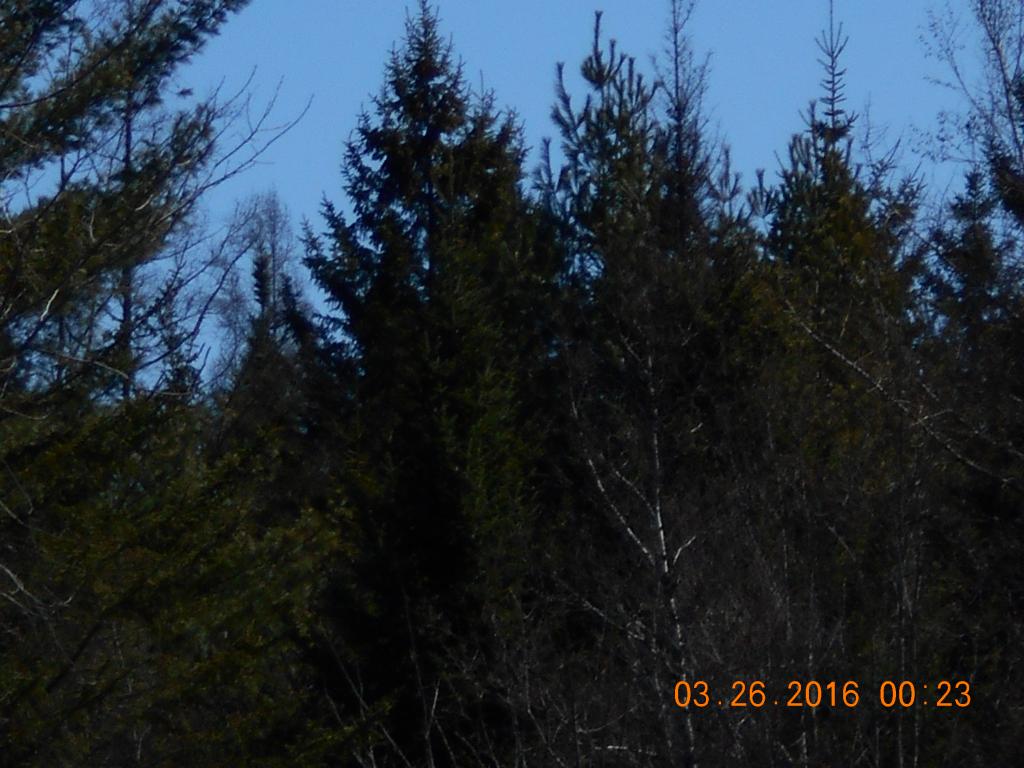 116 Jefferson Road Whitefield, NH 03598 - Photo 14 of 16