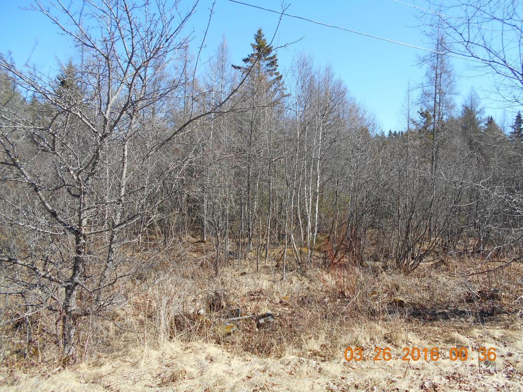 116 Jefferson Road Whitefield, NH 03598 - Photo 15 of 16
