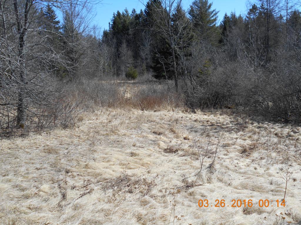 116 Jefferson Road Whitefield, NH 03598 - Photo 3 of 16