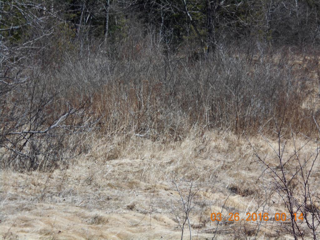 116 Jefferson Road Whitefield, NH 03598 - Photo 7 of 16
