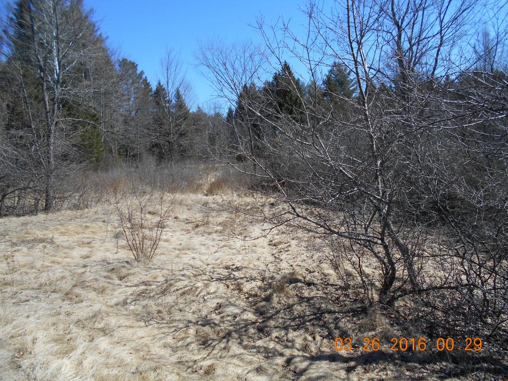 116 Jefferson Road Whitefield, NH 03598 - Photo 8 of 16