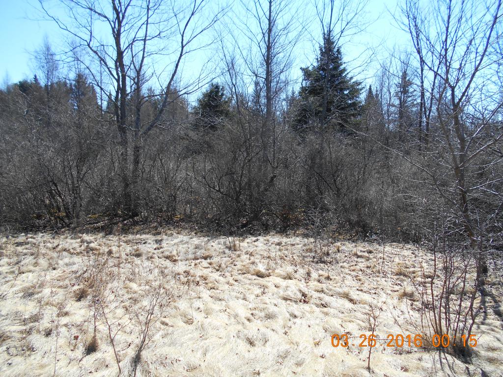 116 Jefferson Road Whitefield, NH 03598 - Photo 9 of 16