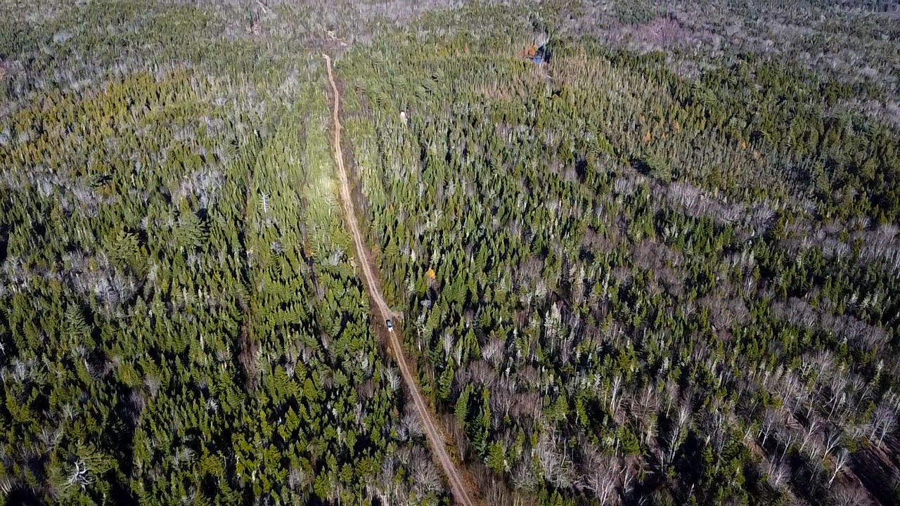 04 Lots Road Whiting, ME 04691 - Photo 11 of 12 aerial view of road