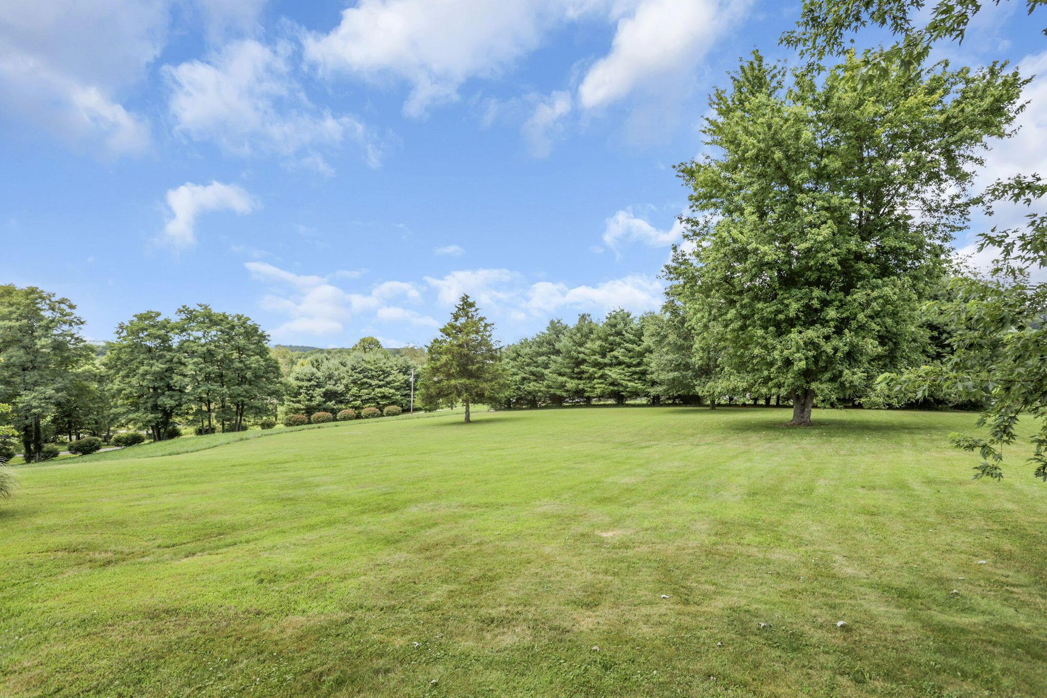 4570 Mainesville Road West Junction City, OH 43748 - Photo 45 of 53 66-web-or-mls-LO5A4229
