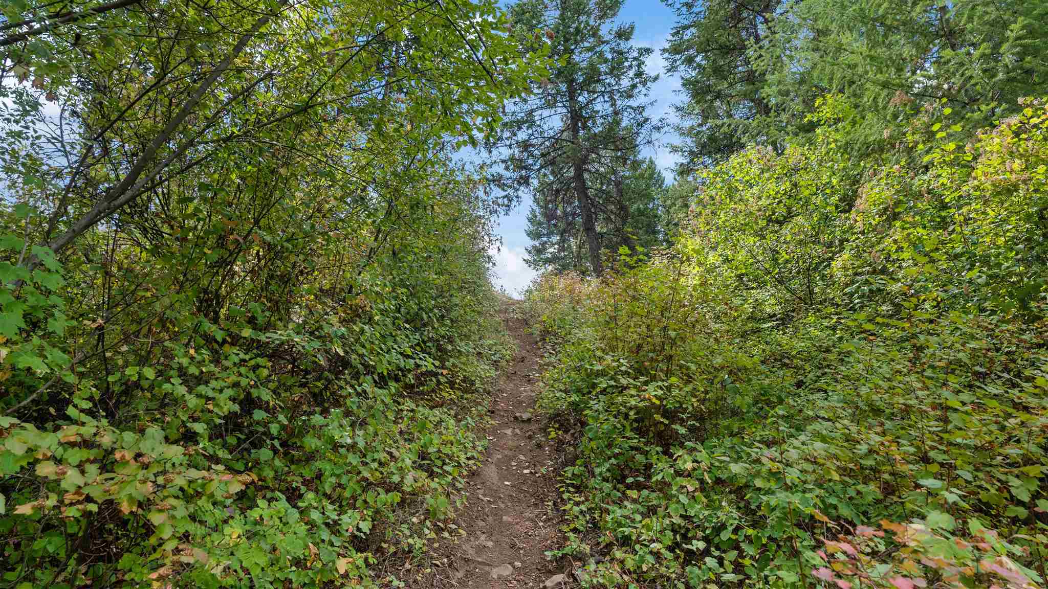 4799 Eagle Ridge Way Springdale, WA 99173 - Photo 22 of 28