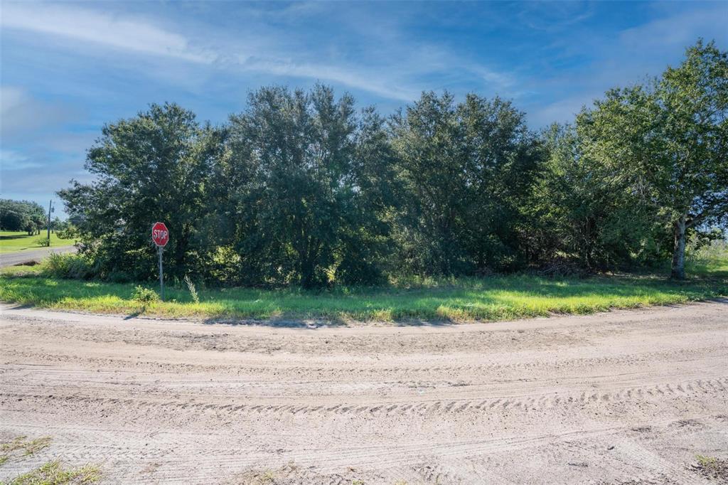 Yale Hammock Road Umatilla, FL 32784 - Photo 8 of 20 a view of road and trees