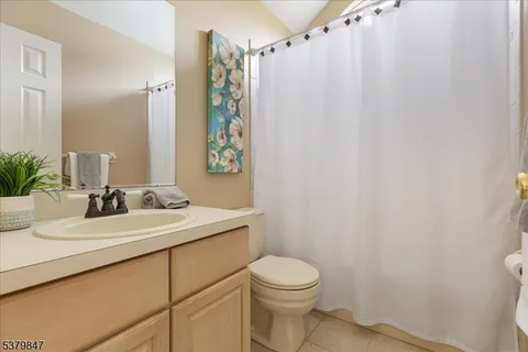 a bathroom with a sink a toilet and shower curtain