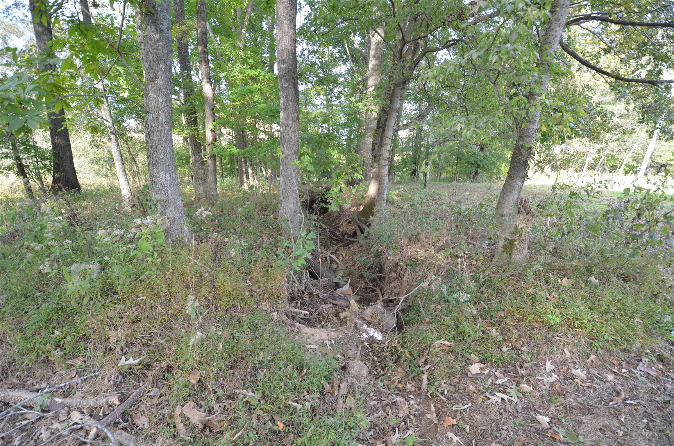 2301 Chester Harris Road Woodlawn, TN 37191 - Photo 11 of 14 Dry creek.