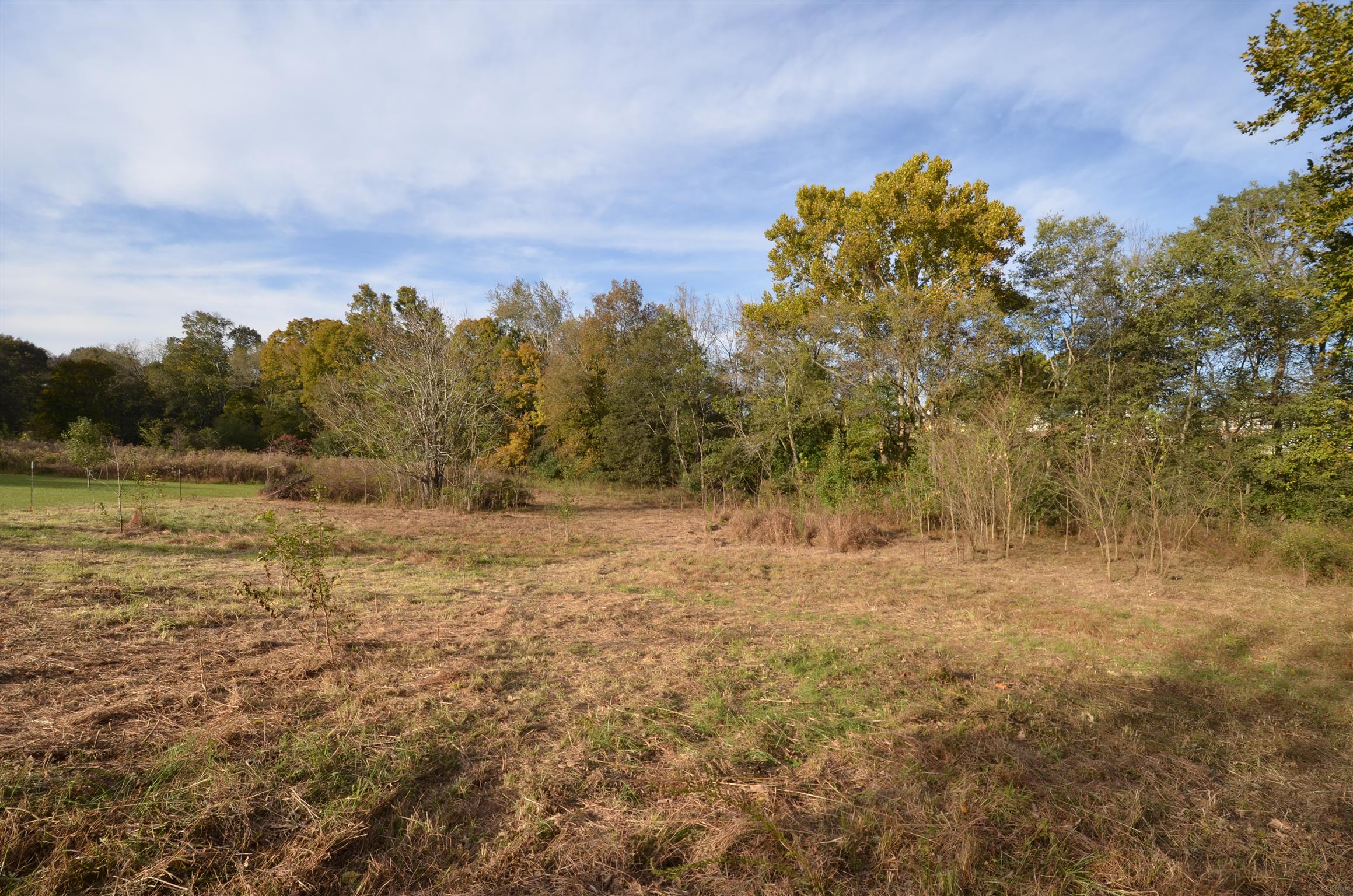 2301 Chester Harris Road Woodlawn, TN 37191 - Photo 10 of 14 Pasture.
