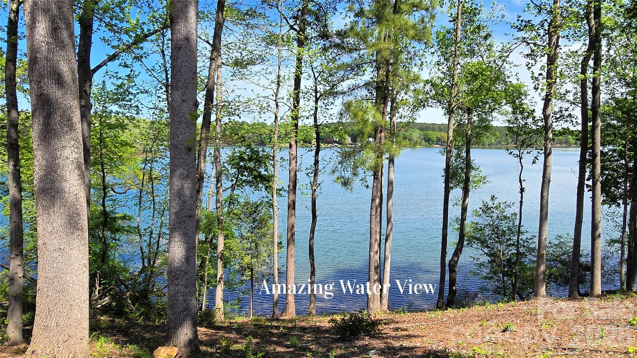 905 Raffaelo View Mount Holly, NC 28120 - Photo 2 of 4